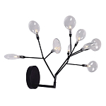 Бра в виде ветвей с прозрачными круглыми плафонами Moooi варинант исполнения - 2 | Loft Concept в Казани