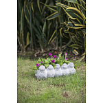 Кашпо Canaries варинант исполнения - 6 | Loft Concept в Казани