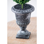 Декоративный искусственное растение Double boxwood варинант исполнения - 7 | Loft Concept в Казани