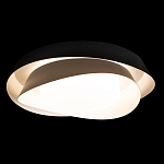 Потолочный светильник круглый черного цвета из металла Vita Cuna варинант исполнения - 1 | Loft Concept в Казани