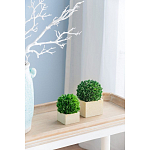 Декоративный искусственное растение Square boxwood варинант исполнения - 5 | Loft Concept в Казани