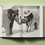 Книга в подарок творческий путь Брюса Вебера Bruce Weber. My Education варинант исполнения - 6 | Loft Concept в Казани