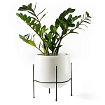 Кашпо из керамики Elevated Planters 32 варинант исполнения - 11 | Loft Concept в Казани