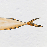 Плитка с узором Рыба Русалка варинант исполнения - 6 | Loft Concept в Казани