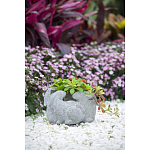 Кашпо A collection of baby rabbits варинант исполнения - 9 | Loft Concept в Казани