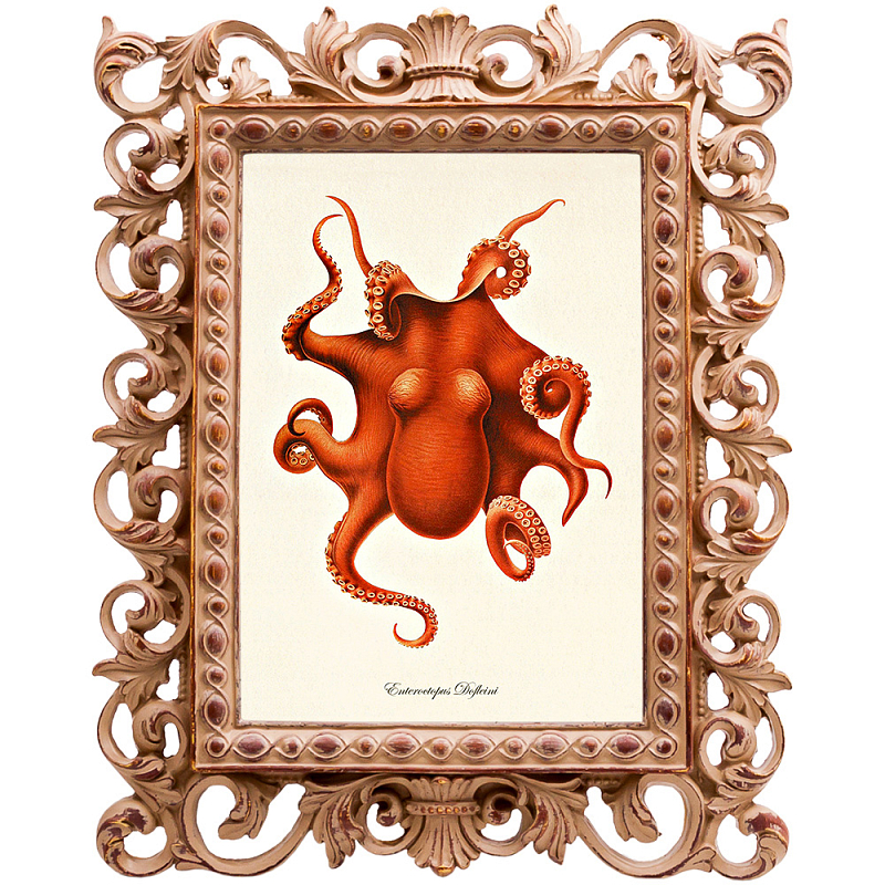 Постер Red Octopus Poster Бежевый Красный в Казани | Loft Concept 