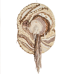 Овальный Современный Гобелен Абстракция в бежевых тонах Shallow варинант исполнения - 7 | Loft Concept в Казани