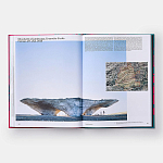 Radical Architecture of the Future варинант исполнения - 4 | Loft Concept в Казани