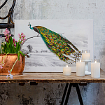 Постер на холсте с изображением павлина на ветке Majestic Peacock on a Tree Poster варинант исполнения - 2 | Loft Concept в Казани