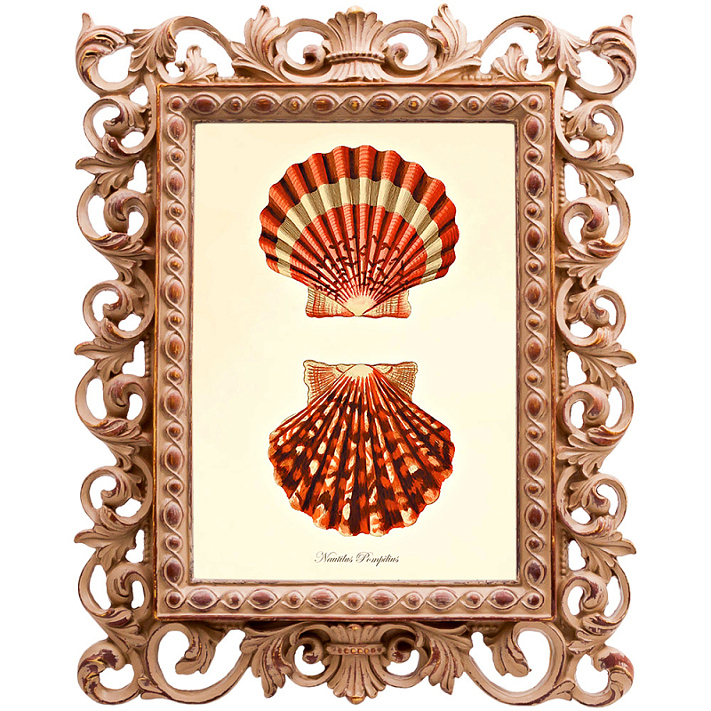 Постер Red Scallop Poster Бежевый Красный в Казани | Loft Concept 