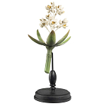 Статуэтка Wonderboom варинант исполнения - 1 | Loft Concept в Казани