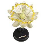 Статуэтка Tilia варинант исполнения - 1 | Loft Concept в Казани