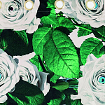 Штора Seletti Roses варинант исполнения - 1 | Loft Concept в Казани