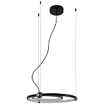 Люстра подвесная светодиодная черный металл Ring Horizontal варинант исполнения - 2 | Loft Concept в Казани
