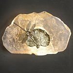 Бра Декоративный лист с стрекозой Glacial Fragment варинант исполнения - 2 | Loft Concept в Казани