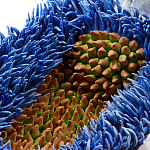 Дизайнерская статуэтка для интерьера Tropical Fruit Pandora 12 варинант исполнения - 3 | Loft Concept в Казани