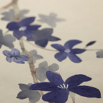 Обои ручная роспись Cherry Tree Original colourway on Stone Ochre dyed silk варинант исполнения - 3 | Loft Concept в Казани