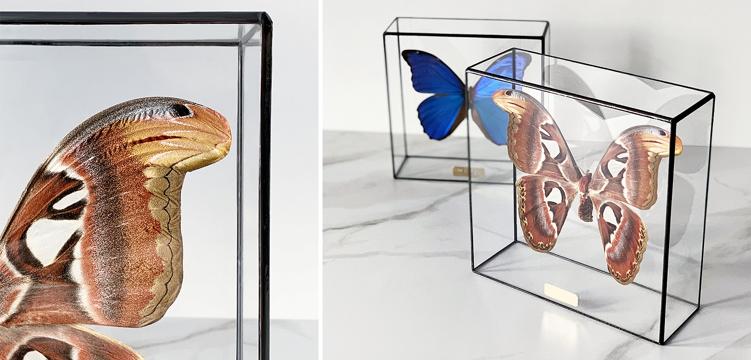 Статуэтка Butterfly Atlas Glass Box Статуэтка Butterfly Atlas Glass Box - Loft-Concept в Казани