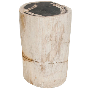 Стул из окаменелого дерева Petrified Wood