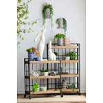 Кашпо Curly baby варинант исполнения - 4 | Loft Concept в Казани