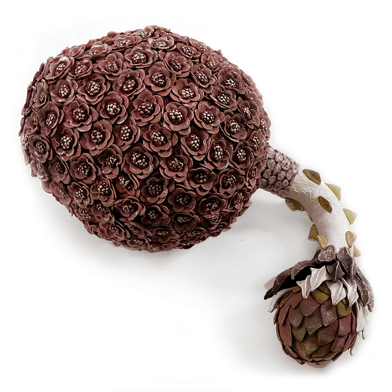 Коричневый фрукт Exotic Fruit Artichoke Brown 42 Коричневый Коричневый фрукт Exotic Fruit Artichoke Brown 42 Коричневый в Казани | Loft Concept
