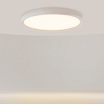 Потолочный светильник Incognito 2700-4000К 46Вт варинант исполнения - 2 | Loft Concept в Казани