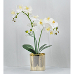 Декоративный искусственное растение Lush Orchid варинант исполнения - 2 | Loft Concept в Казани