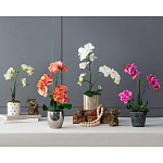 Декоративный искусственное растение Pink orchid варинант исполнения - 11 | Loft Concept в Казани
