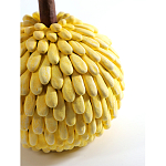 Статуэтка тропический фрукт Pandora Tropical Fruit Yellow Emerald Flower варинант исполнения - 2 | Loft Concept в Казани