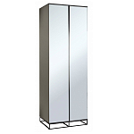 Двухдверный шкаф с зеркальными дверцами Strict Lines варинант исполнения - 1 | Loft Concept в Казани