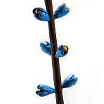 Синий экзотический фрукт статуэтка для интерьераTropical Fruit Pandora 9 варинант исполнения - 2 | Loft Concept в Казани