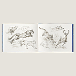 Лимитированная подарочная книга HERMES Fierce and Fragile book, English version варинант исполнения - 4 | Loft Concept в Казани