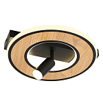 Потолочный светильник круглый GAVIN WOOD варинант исполнения - 1 | Loft Concept в Казани