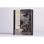 Книга Fantastic Gustave Dore варинант исполнения - 3 | Loft Concept в Казани