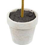 Декоративный искусственное растение Boxwood One варинант исполнения - 3 | Loft Concept в Казани