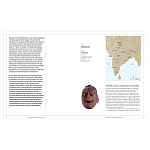 Книга Tantra: Enlightenment to Revolution варинант исполнения - 6 | Loft Concept в Казани