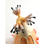 Статуэтка тропический фрукт Pandora Tropical Fruit Orange варинант исполнения - 3 | Loft Concept в Казани