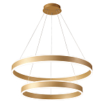 Люстра подвесная светодиодная с двумя золотистыми кольцами Диаметр 80 см Ring Horizontal варинант исполнения - 1 | Loft Concept в Казани
