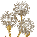 Торшер в виде цветка одуванчика Hanging Dandelion варинант исполнения - 1 | Loft Concept в Казани