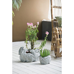 Кашпо A collection of baby rabbits варинант исполнения - 4 | Loft Concept в Казани