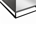 Двухдверный шкаф с зеркальными дверцами Strict Lines варинант исполнения - 4 | Loft Concept в Казани