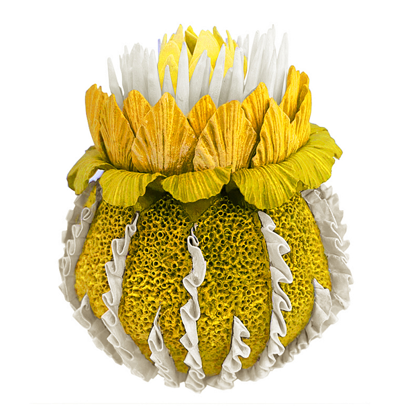 Желтый Экзотический фрукт Yellow Pandora Exotic Fruit 44 Желтый Желтый Экзотический фрукт Yellow Pandora Exotic Fruit 44 Желтый в Казани | Loft Concept