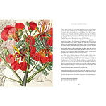 Прекрасно иллюстрированная книга более 100 ботанических произведений Plant Hunters Atlas варинант исполнения - 5 | Loft Concept в Казани