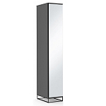 Шкаф-пенал с зеркальной дверцей и фасадом цвета графит Strict Lines варинант исполнения - 2 | Loft Concept в Казани