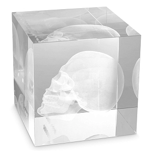 Статуэтка Philipp Plein Object Attitude