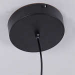 Люстра подвесная светодиодная черный металл Ring Horizontal варинант исполнения - 6 | Loft Concept в Казани