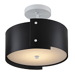 Потолочный светильник круглый светодиодный Semicircular White Panels чёрный варинант исполнения - 2 | Loft Concept в Казани