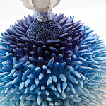 Статуэтка Синий тропический фрукт Tropical Fruit Pandora 4 варинант исполнения - 1 | Loft Concept в Казани