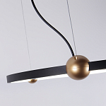 Люстра подвесная светодиодная черный металл Ring Horizontal варинант исполнения - 3 | Loft Concept в Казани