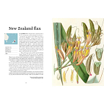 Прекрасно иллюстрированная книга более 100 ботанических произведений Plant Hunters Atlas варинант исполнения - 3 | Loft Concept в Казани